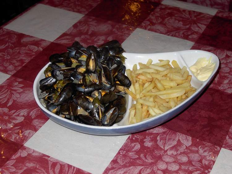 cozze