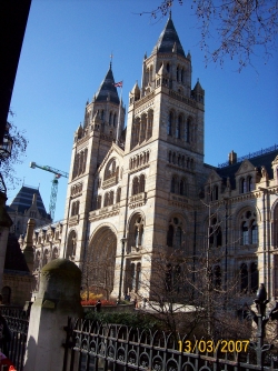 natural history museum